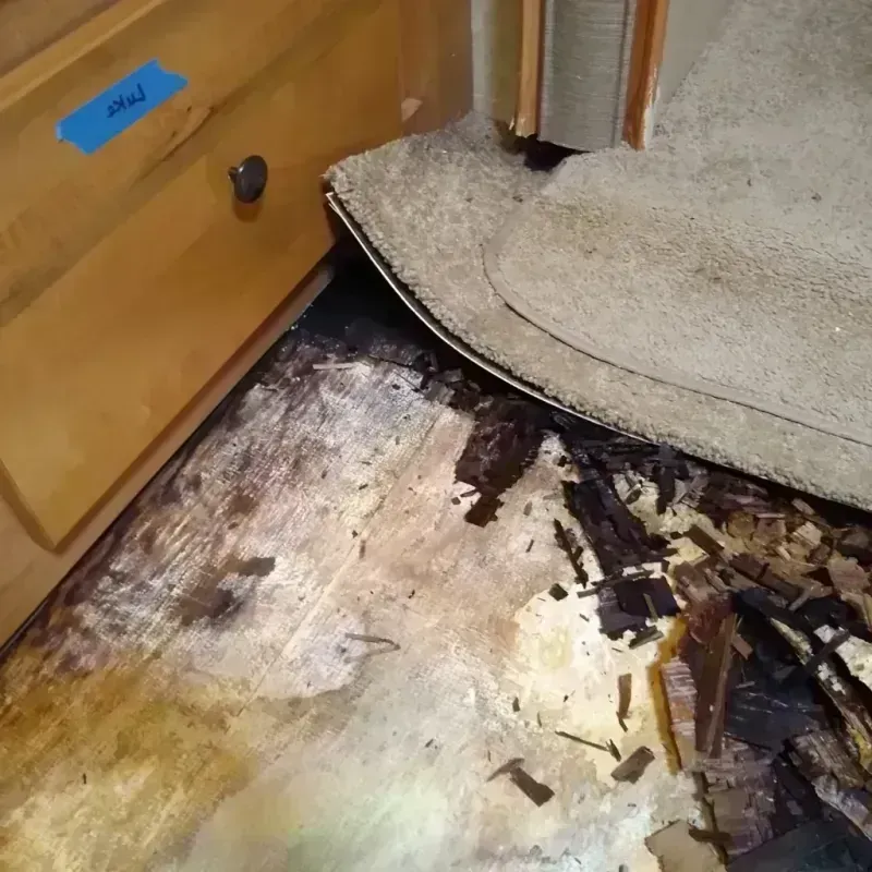 Wood Floor Water Damage in Danville, CA